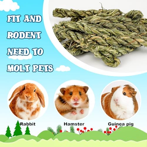 25pcs Rabbit Timothy Hay Chew Sticks - 5 25pcs Rabbit Timothy Hay Chew Sticks - 5