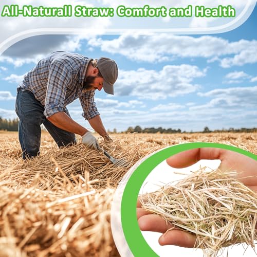 MAQIHAN Natural Straw Bedding for Rabbits - 5.92oz Vacuum Sealed - 3 MAQIHAN Natural Straw Bedding for Rabbits - 5.92oz Vacuum Sealed - 3