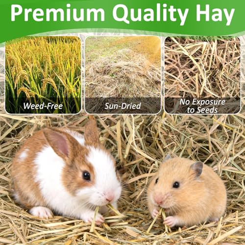 MAQIHAN Natural Straw Bedding for Rabbits - 5.92oz Vacuum Sealed - 4 MAQIHAN Natural Straw Bedding for Rabbits - 5.92oz Vacuum Sealed - 4