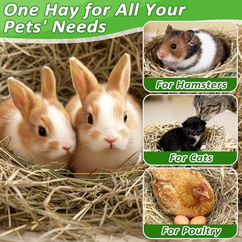 MAQIHAN Natural Straw Bedding for Rabbits - 5.92oz Vacuum Sealed - 5 MAQIHAN Natural Straw Bedding for Rabbits - 5.92oz Vacuum Sealed - 5